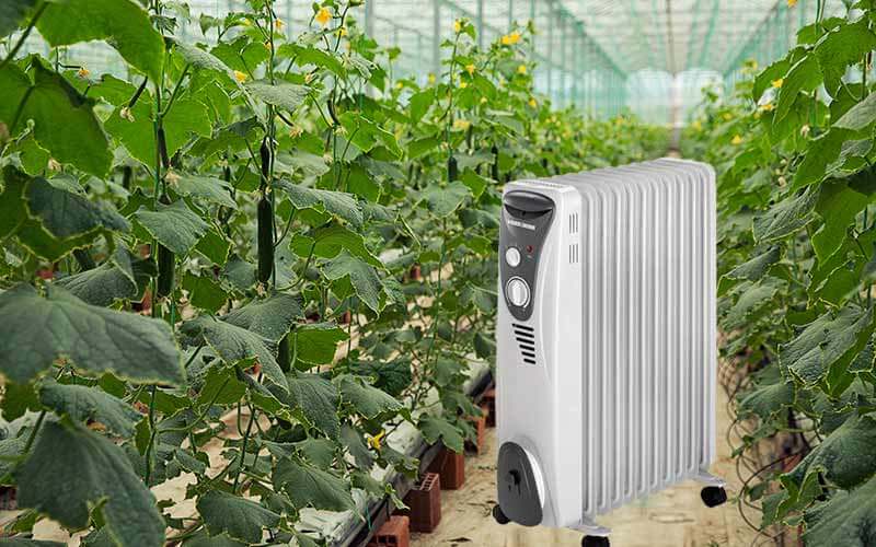 Can I Use a Radiator Heater For a Greenhouse?