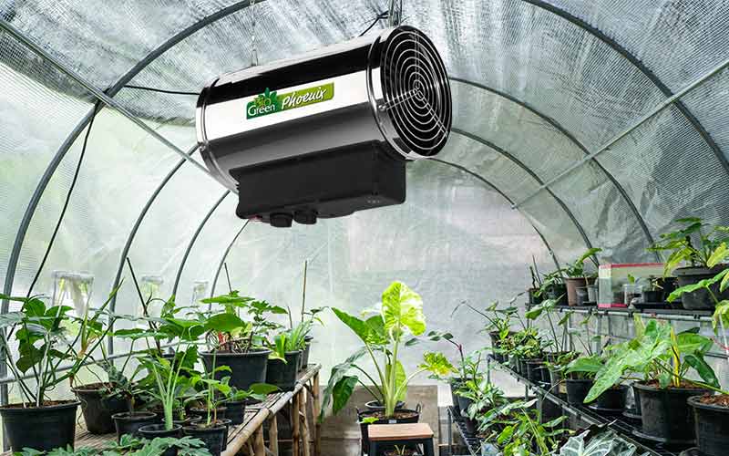 Does a Heater in a Greenhouse Dry Out the Plants?