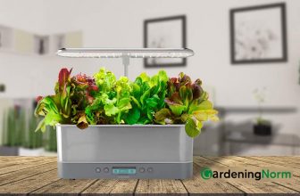 How Much Water Does an Aerogarden Hold