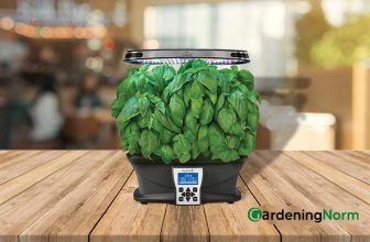 How to Grow Basil with Aerogarden