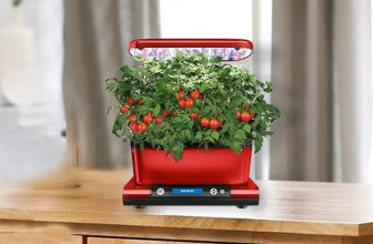 How to Grow Juicy Red Tomatoes in Aerogarden