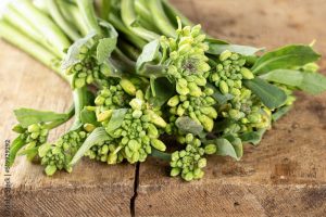 broccolini plant flower