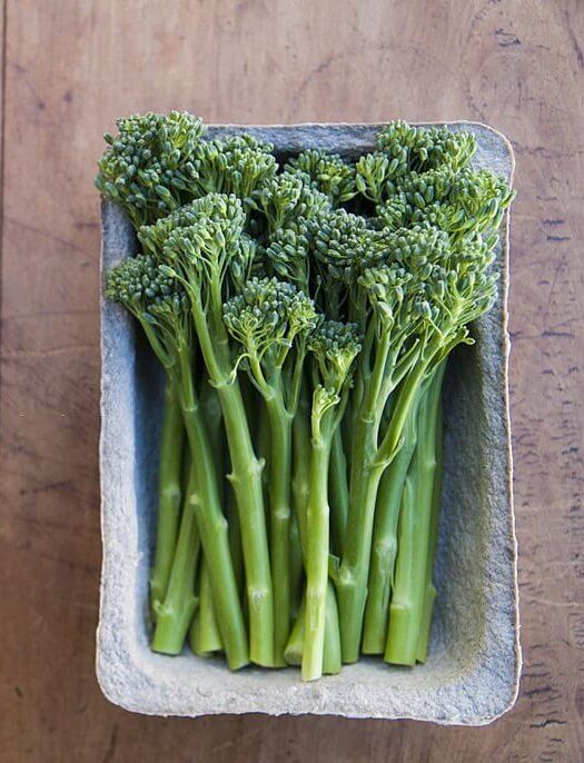 Broccolini How To Grow the Best Stepbystep Guide