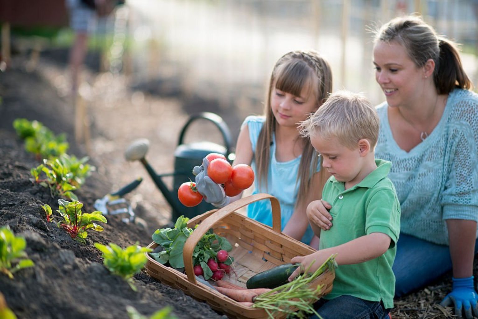 Best Radish Companion Plants What To Plant