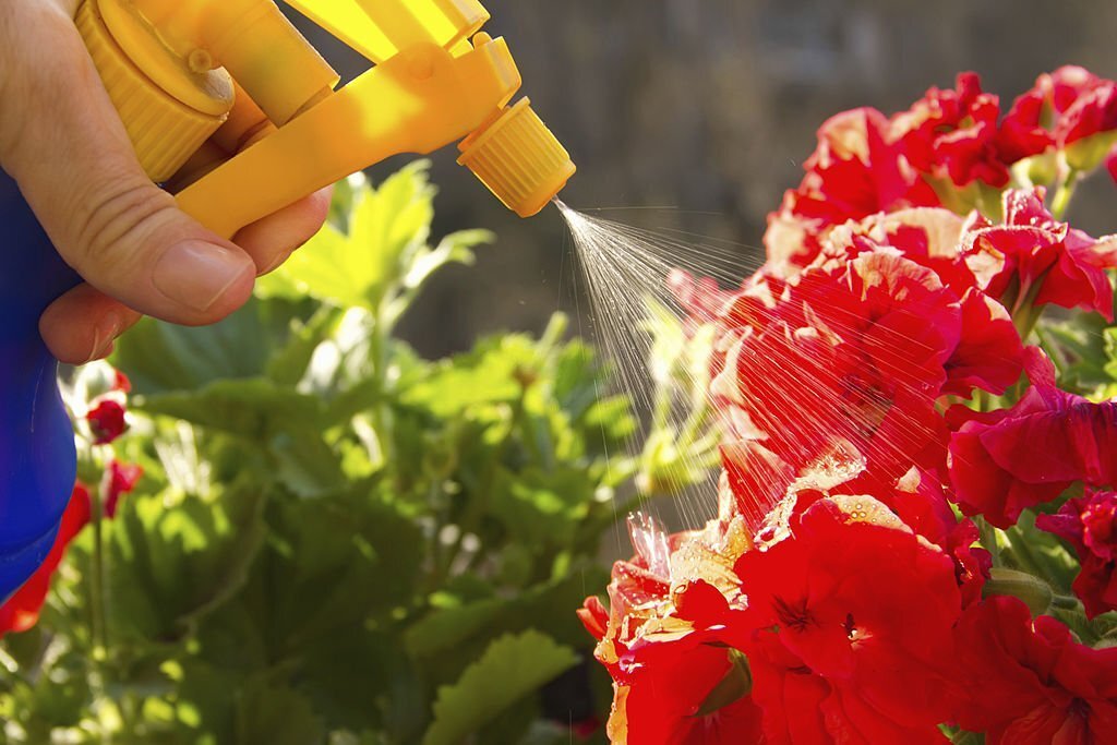 Neem Oil as a Dormant Spray