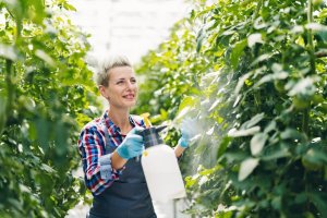 Gardener working
