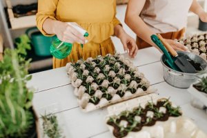 Companion Planting Guide For Rosemary