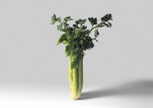 Celery companion plants 00