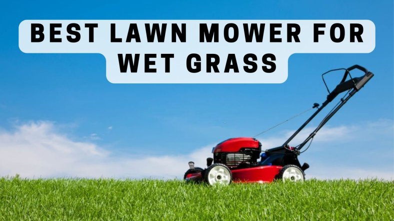 🏆6 Best Lawn Mowers For Wet Grass in 2023