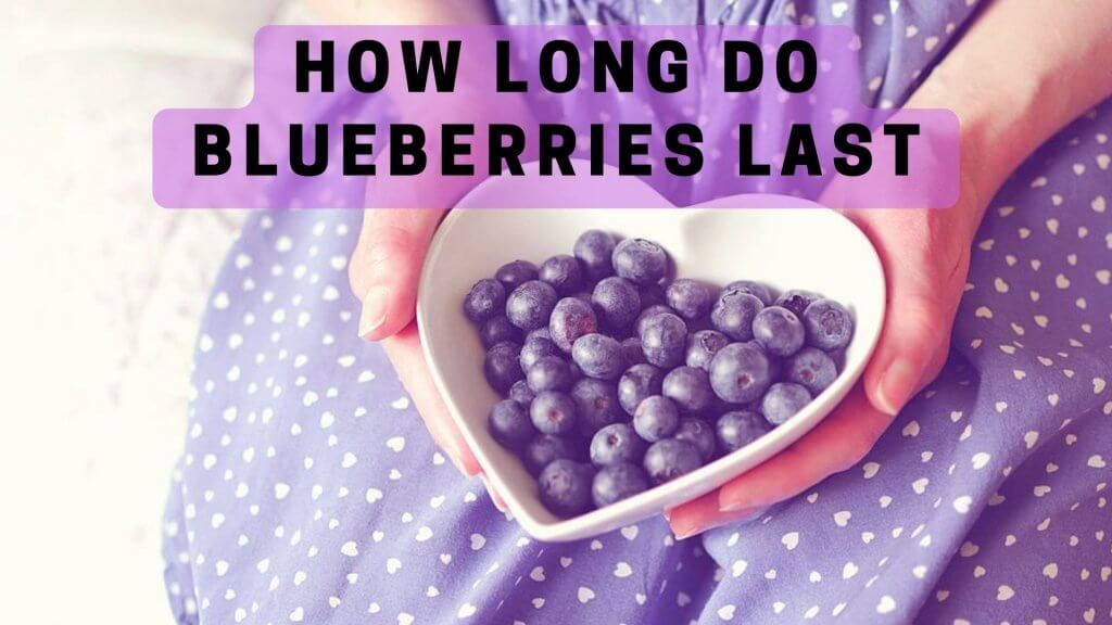 How long do blueberries last 01