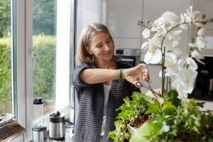 How long do orchid blooms last 05