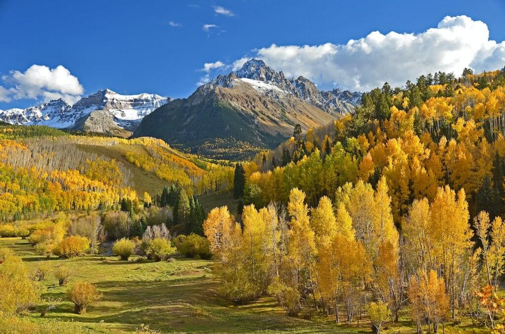 American Larch -green and beige trees beside mountains
