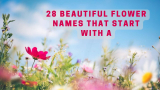 28 Beautiful Flower Names That Start With A