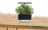 AeroGarden Harvest Review: Carefree Gardening for Brown Thumbs    