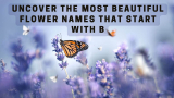Uncover the Most Beautiful Flower Names That Start with B