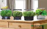 6 Best AeroGarden To Start Growing In Your Home : Updated 2023