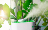 Best Humidifier for Indoor Plants in 2023 : The Key to Proper Plant Growth