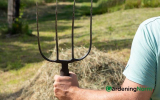 8 Best Pitchfork for Mulch in 2023