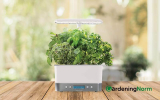 Best Plants to Grow in an Aerogarden – Beginner’s Guide
