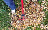 What is the Best Way to Separate Fallen Leaves From Mulch?