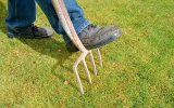 Can I Use Pitchfork to Aerate My Lawn?