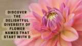 Discover the Delightful Diversity of Flower Names that Start with D