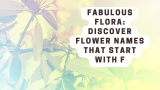 Fabulous Flora: Discover Flower Names that Start with F