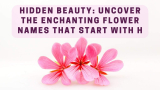 Hidden Beauty: Uncover the Enchanting Flower Names that Start with H