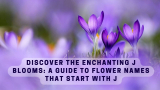 Discover the Enchanting J Blooms: A Guide to Flower Names that Start with J