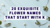 20 Exquisite Flower Names that Start with K