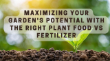 Maximizing Your Garden’s Potential with the Right Plant Food Vs Fertilizer