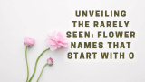 Unveiling the Rarely Seen: Flower Names That Start With O