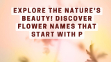 Explore the Nature’s Beauty! Discover Flower Names that Start with P