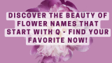 Discover the Beauty of Flower Names that Start with Q – Find Your Favorite Now!