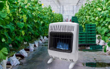 How Much Propane Does a Greenhouse Heater Use?