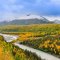 Exploring the Rich Diversity of Alaska’s Native Plants